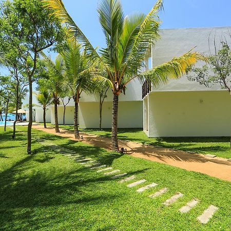 Arugambay Roccos Arugam Bay Exterior foto