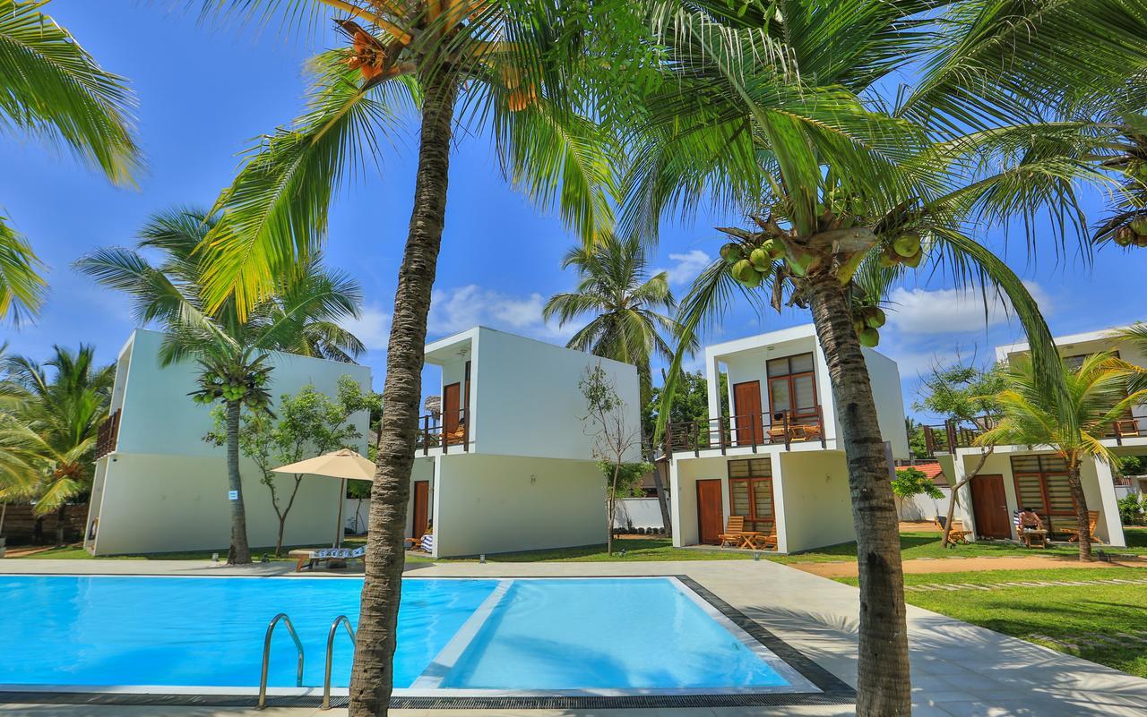 Arugambay Roccos Arugam Bay Exterior foto