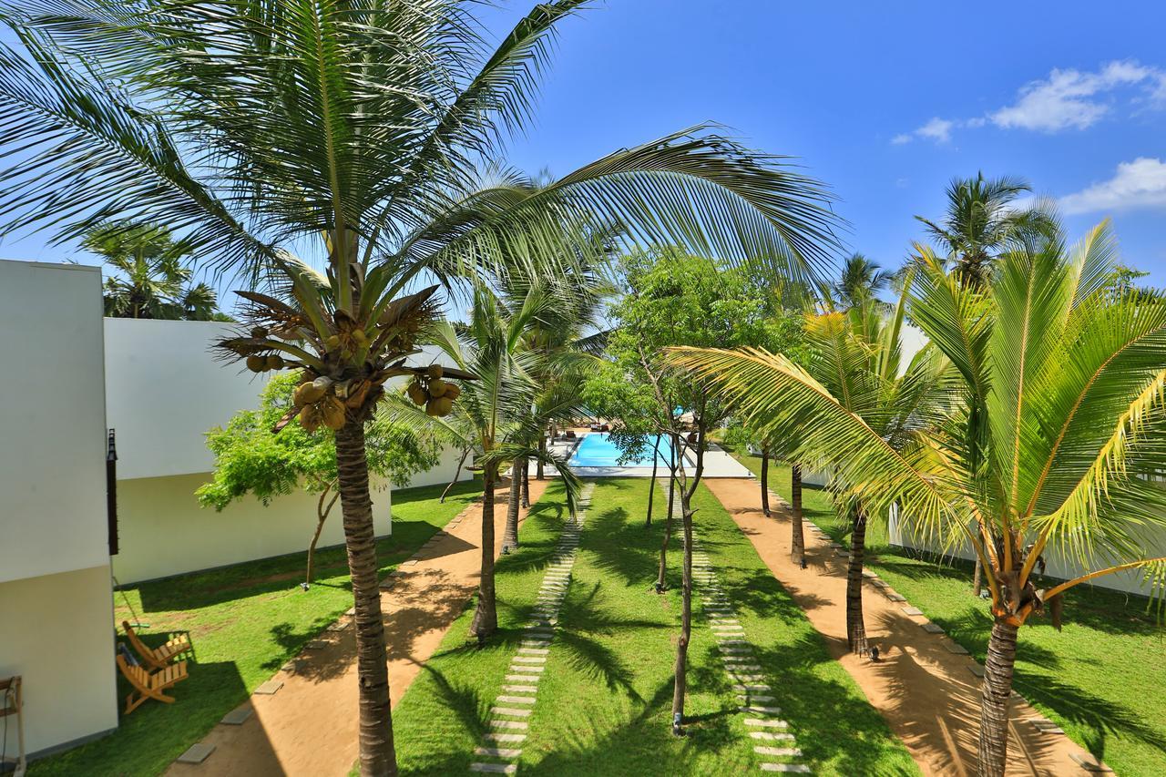 Arugambay Roccos Arugam Bay Exterior foto
